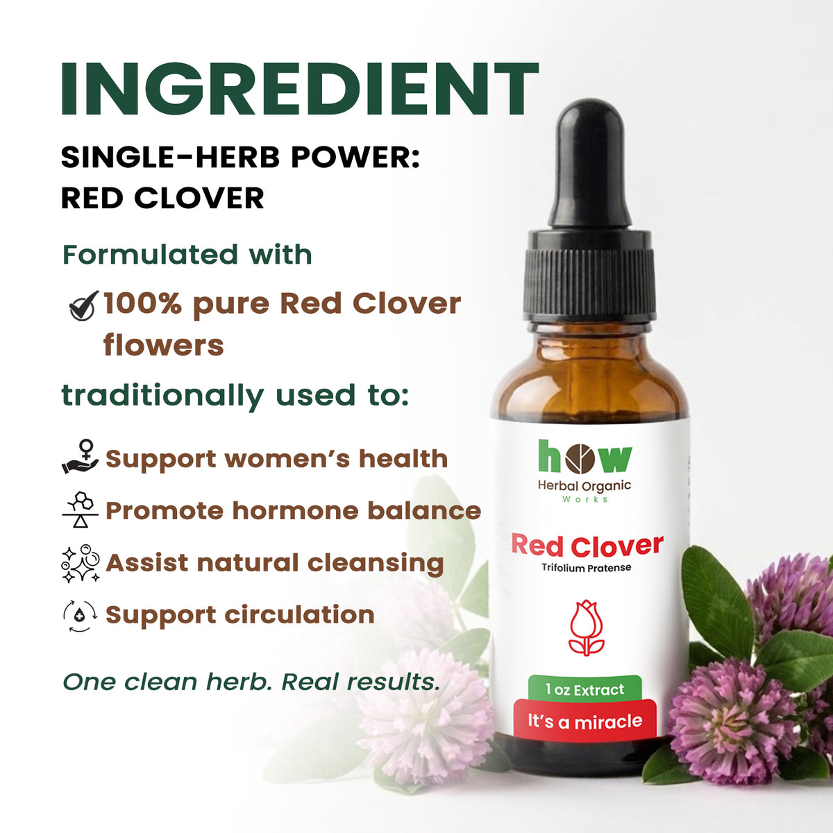 Red Clover ingredients