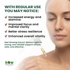 Red Ginseng panax tincture benefits