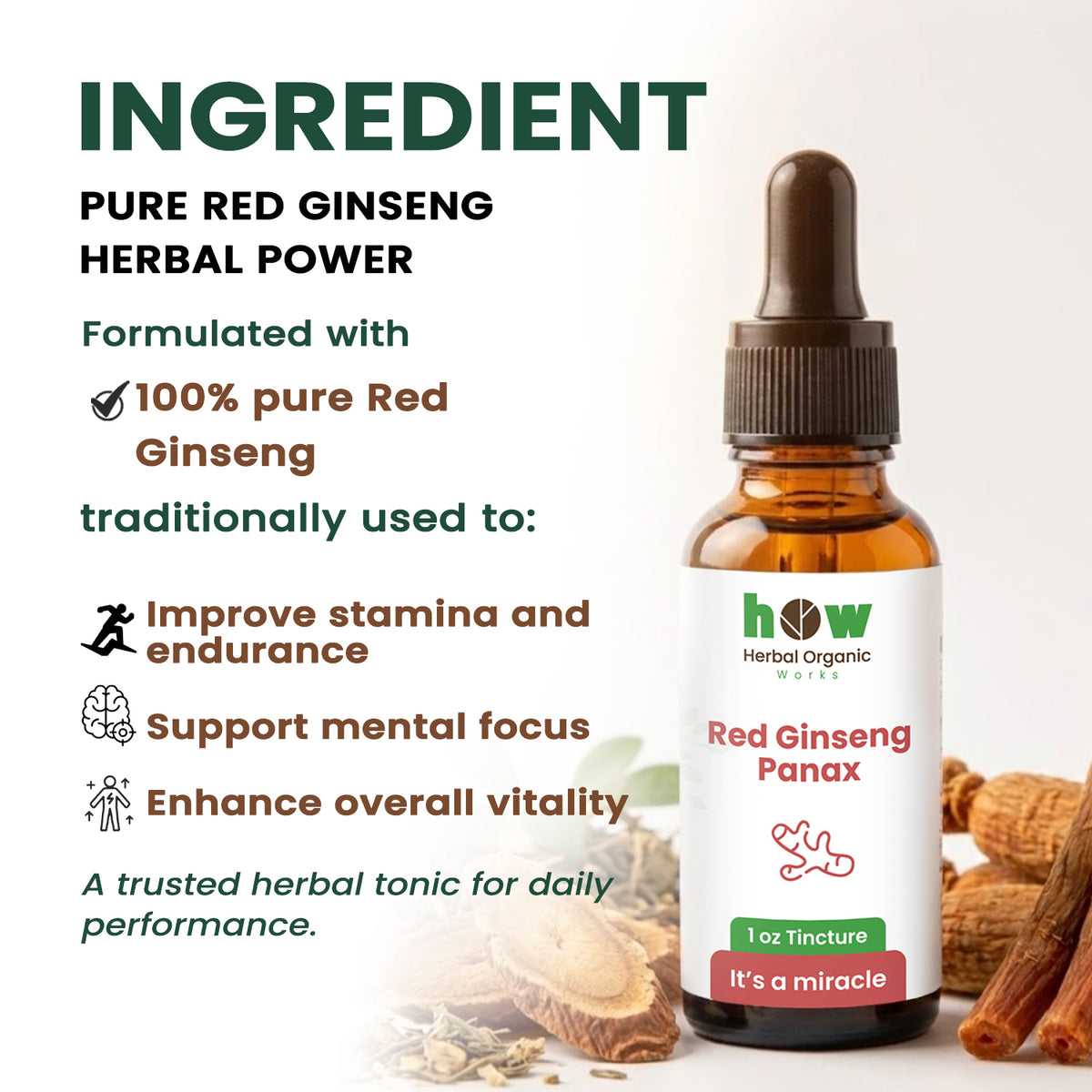 Red Ginseng panax tincture ingredients