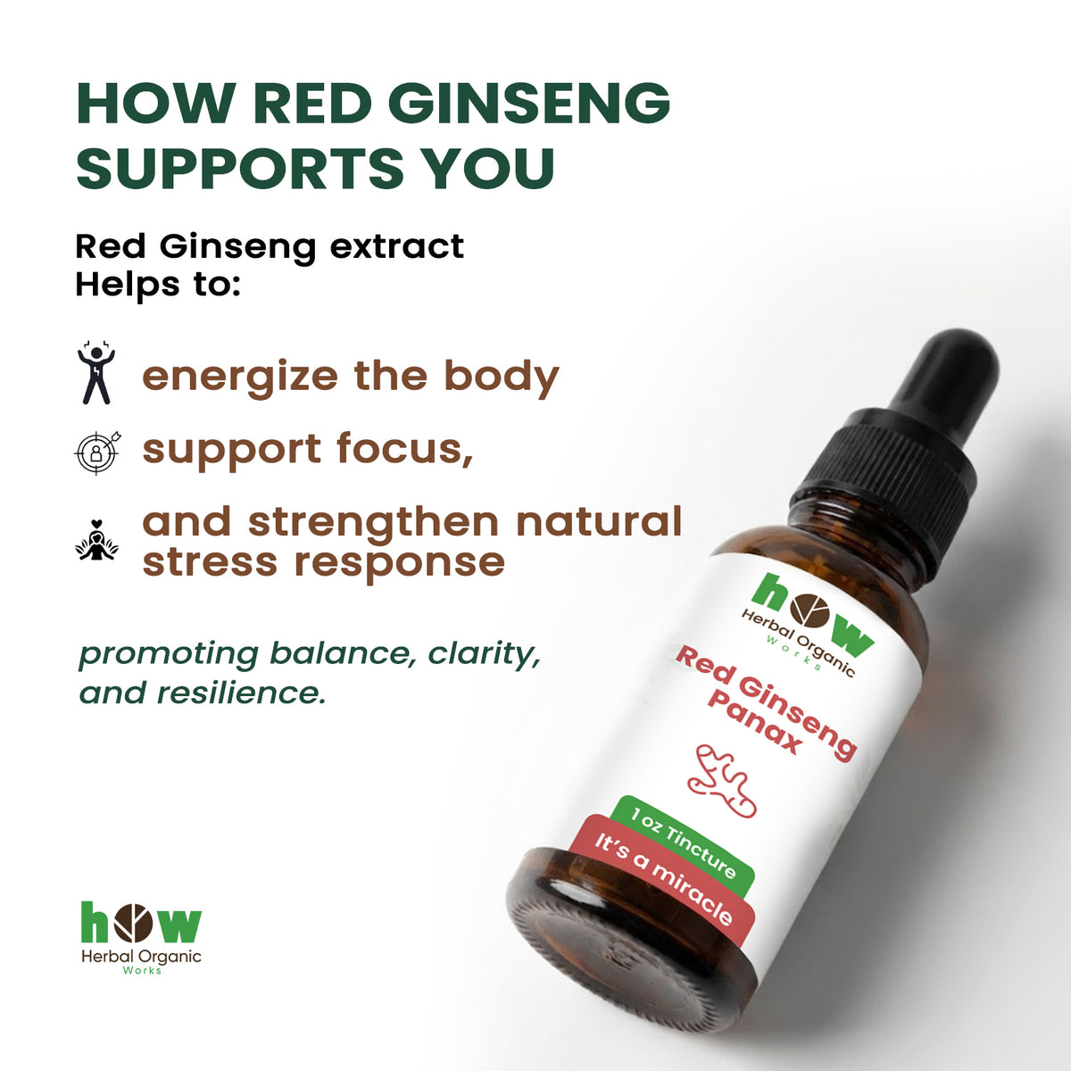 Red Ginseng panax tincture 