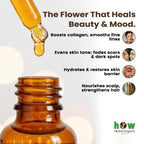 Rosehip seed oil  works