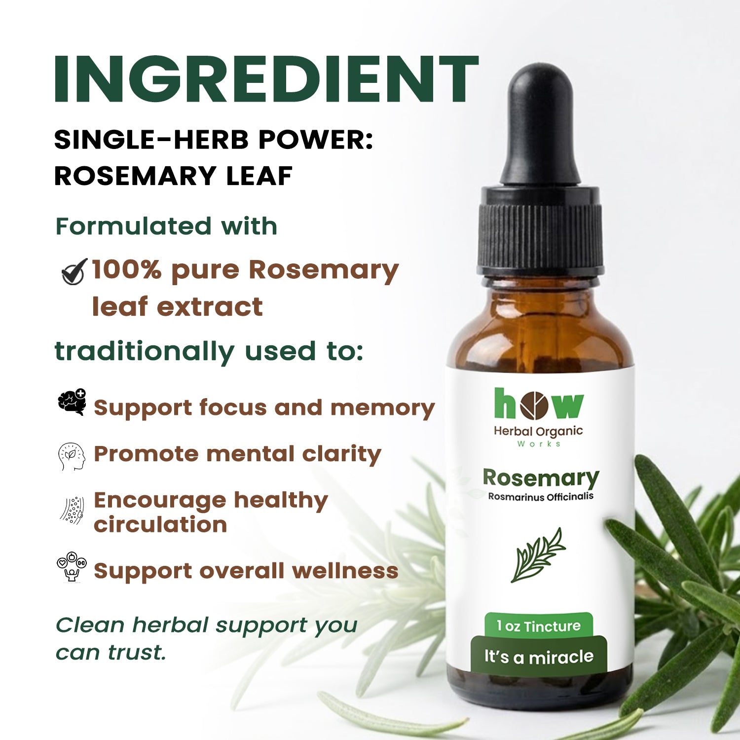 Rosemary Tincture ingredients
