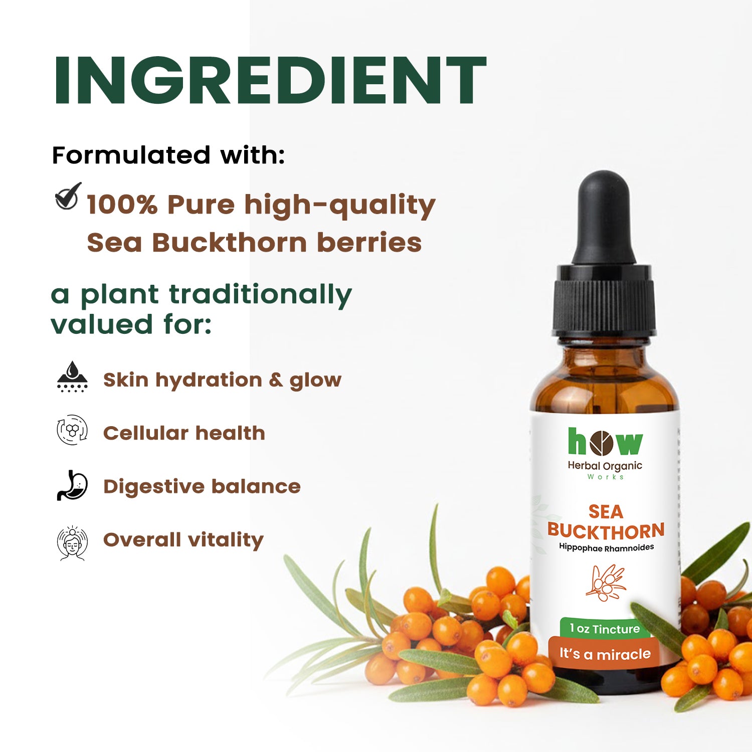 Sea Buckthorn Tincture ingredients
