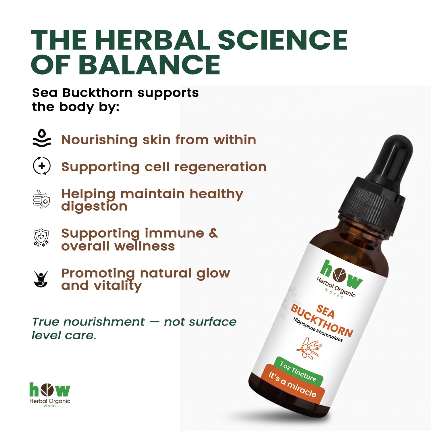 Sea Buckthorn Tincture works
