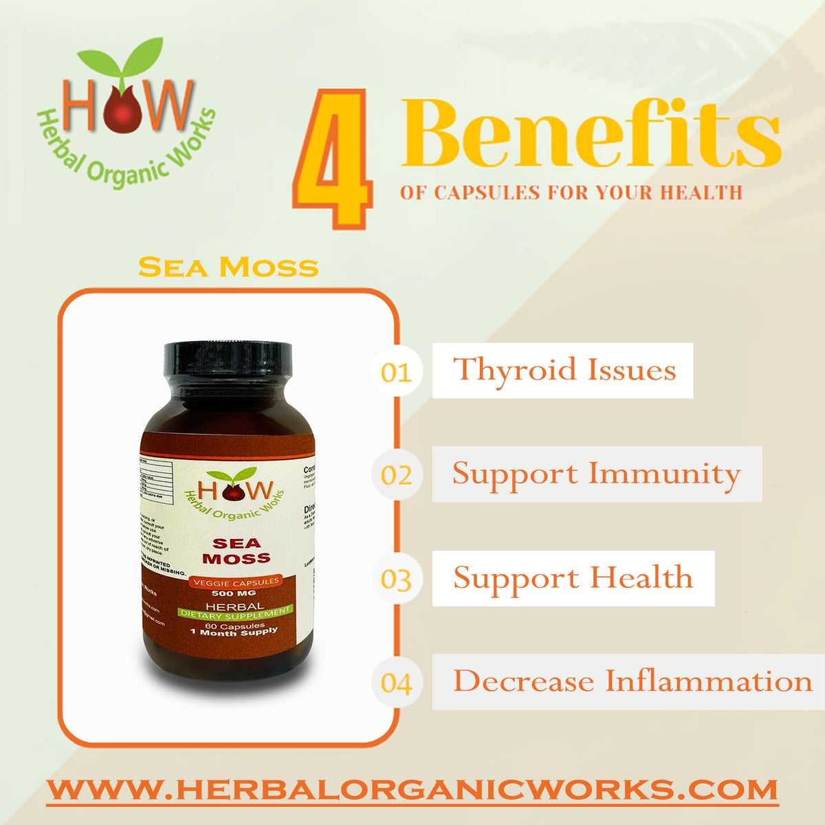 Sea Moss