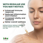 Selfheal tincture benefits