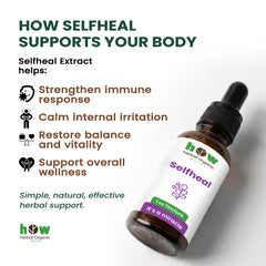 Selfheal tincture for body