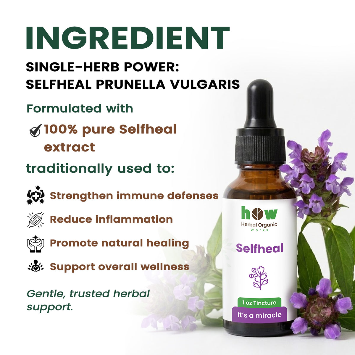 Selfheal tincture ingredients