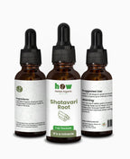 Shatavari Root Extract – Natural Support for Hormonal Balance