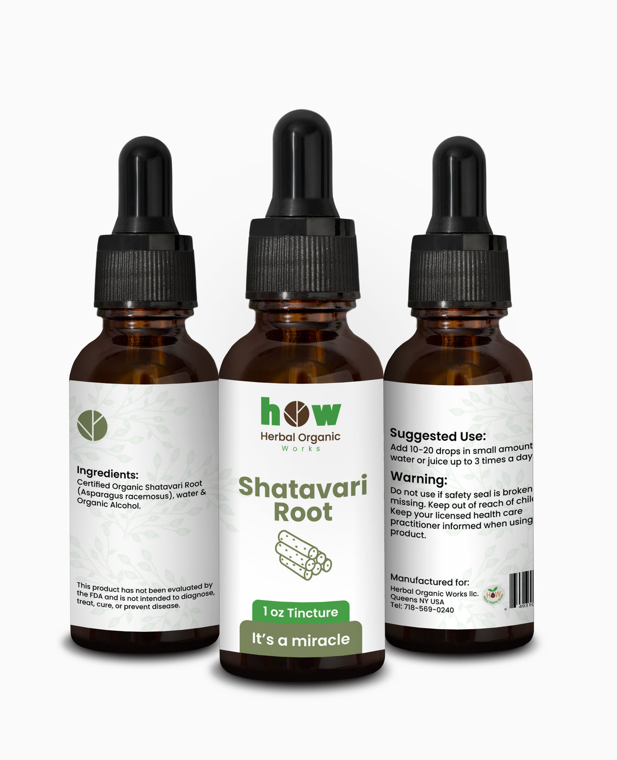 Shatavari Root Extract – Natural Support for Hormonal Balance