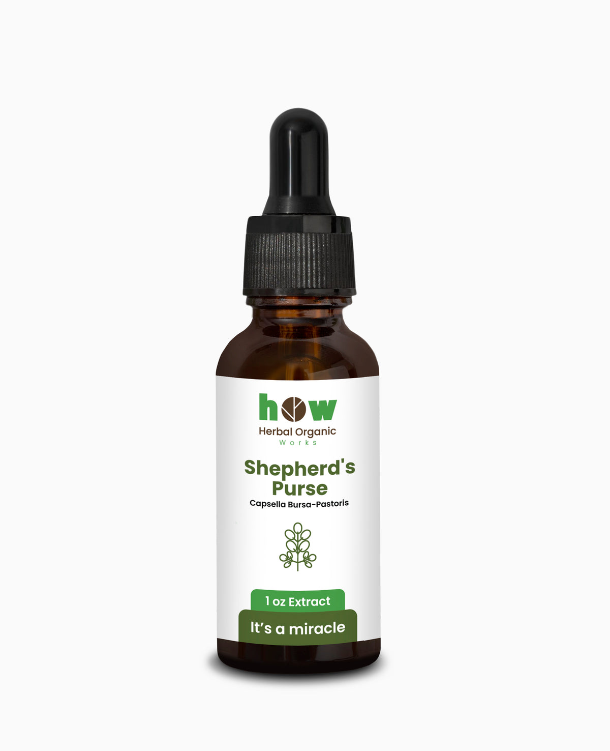 Shepherd's Purse Extract – Digestive Comfort & Wellness