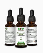 Shepherd's Purse Extract – Digestive Comfort & Wellness