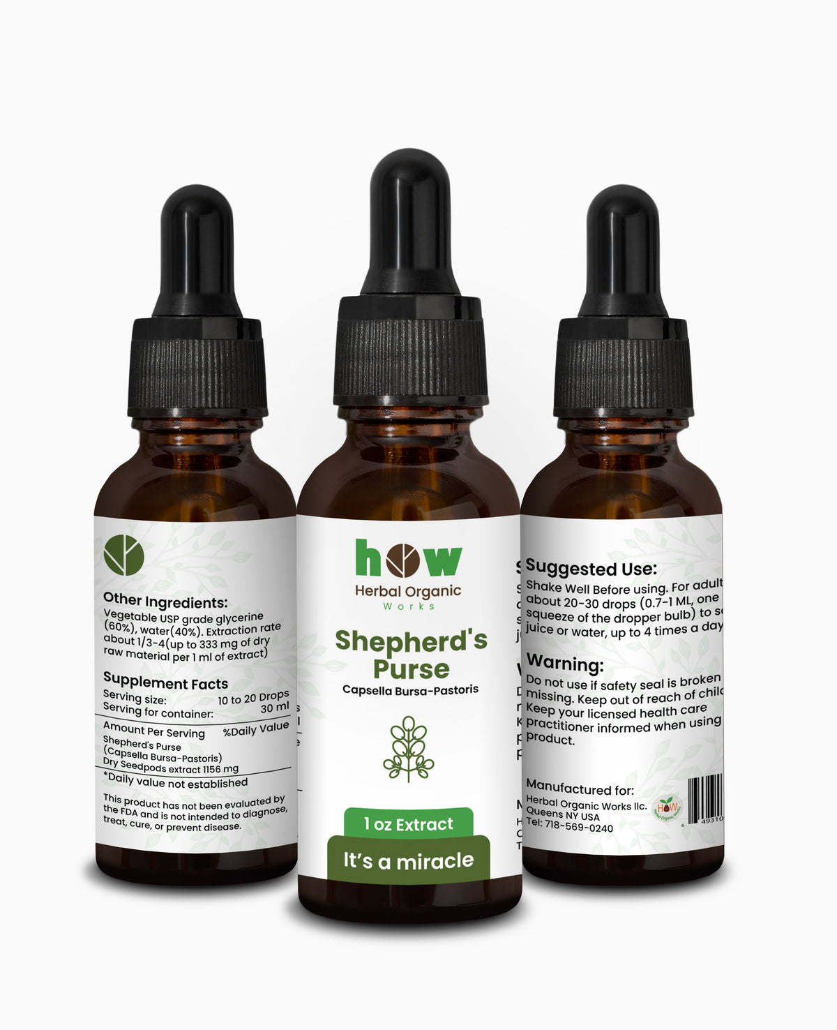 Shepherd's Purse Extract – Digestive Comfort & Wellness
