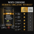 Shilajit and Ethiopian black seed oil gummies product comparison