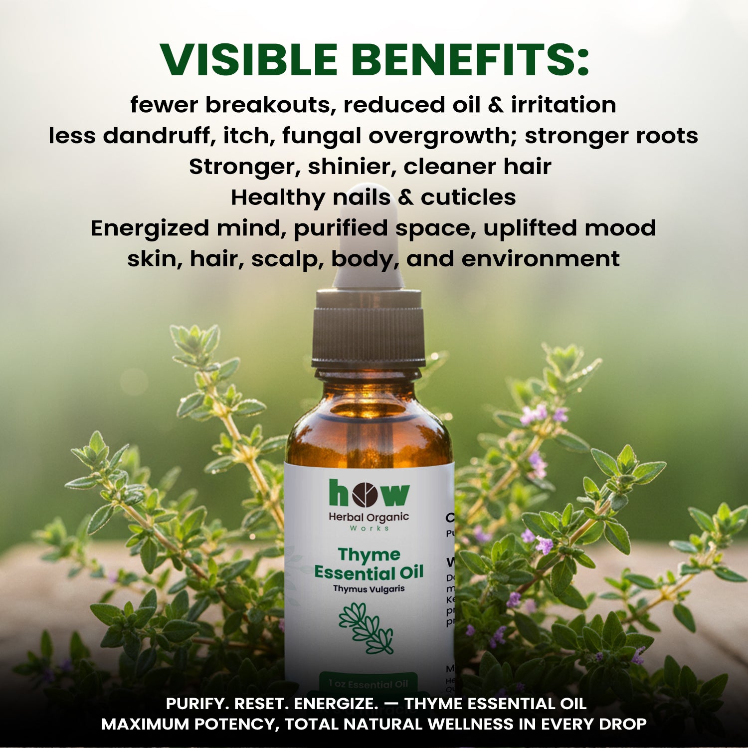 Thyme essential oil benefits