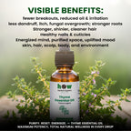 Thyme essential oil benefits