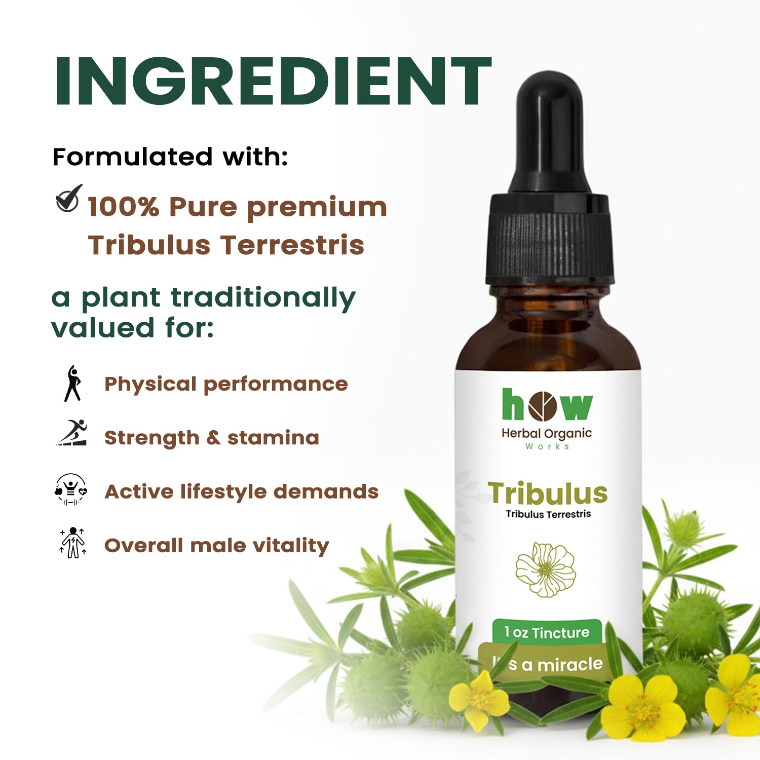 Tribulus Tincture ingredients