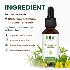 Tribulus Tincture ingredients