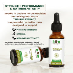 Tribulus Tincture