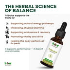 Tribulus Tincture work