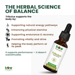 Tribulus Tincture work