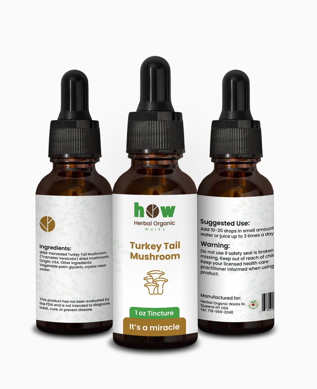 Turkey Tail Mushroom Extract – Natural Immune Supplement