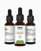 Turkey Tail Mushroom Extract – Natural Immune Supplement