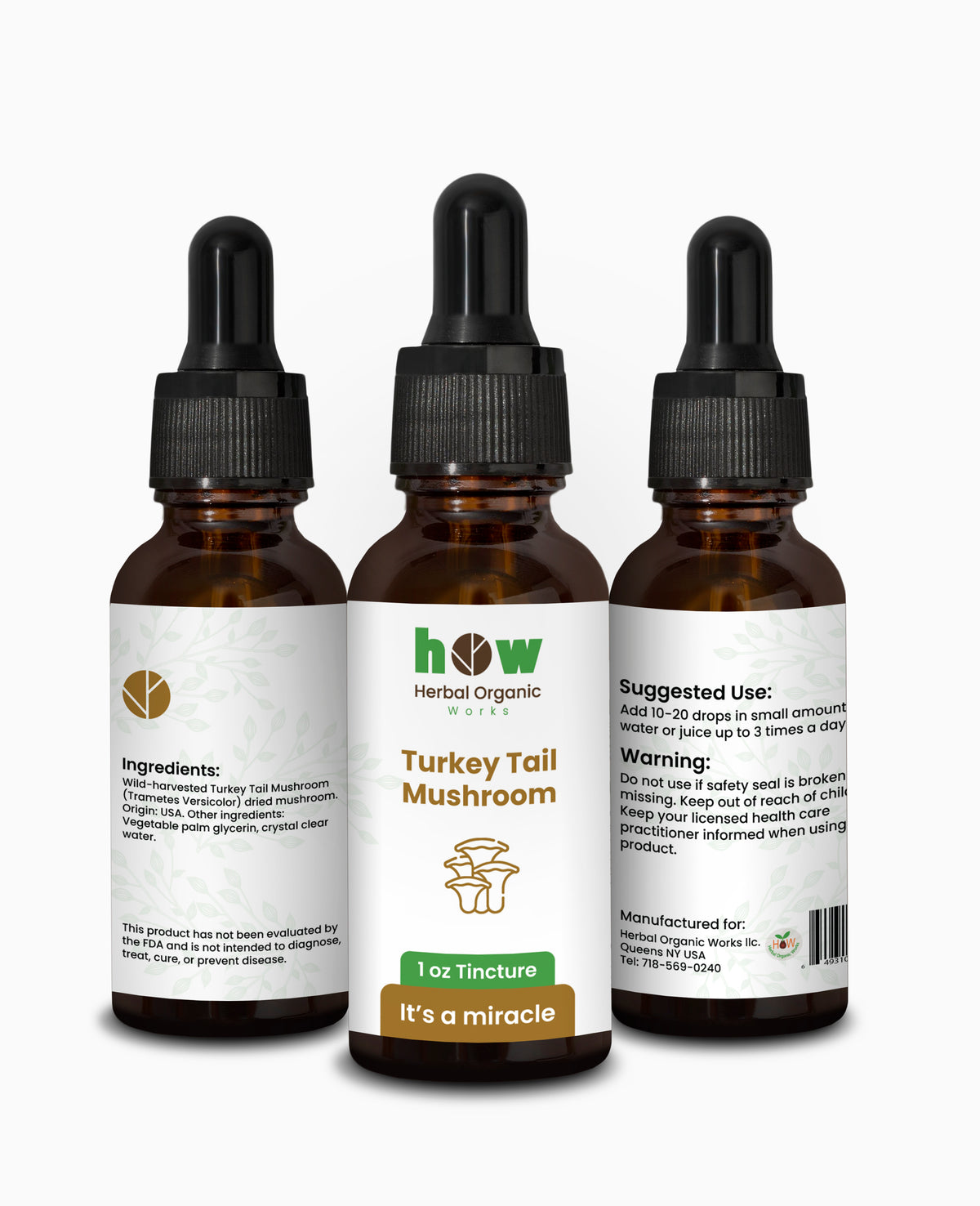 Turkey Tail Mushroom Extract – Natural Immune Supplement