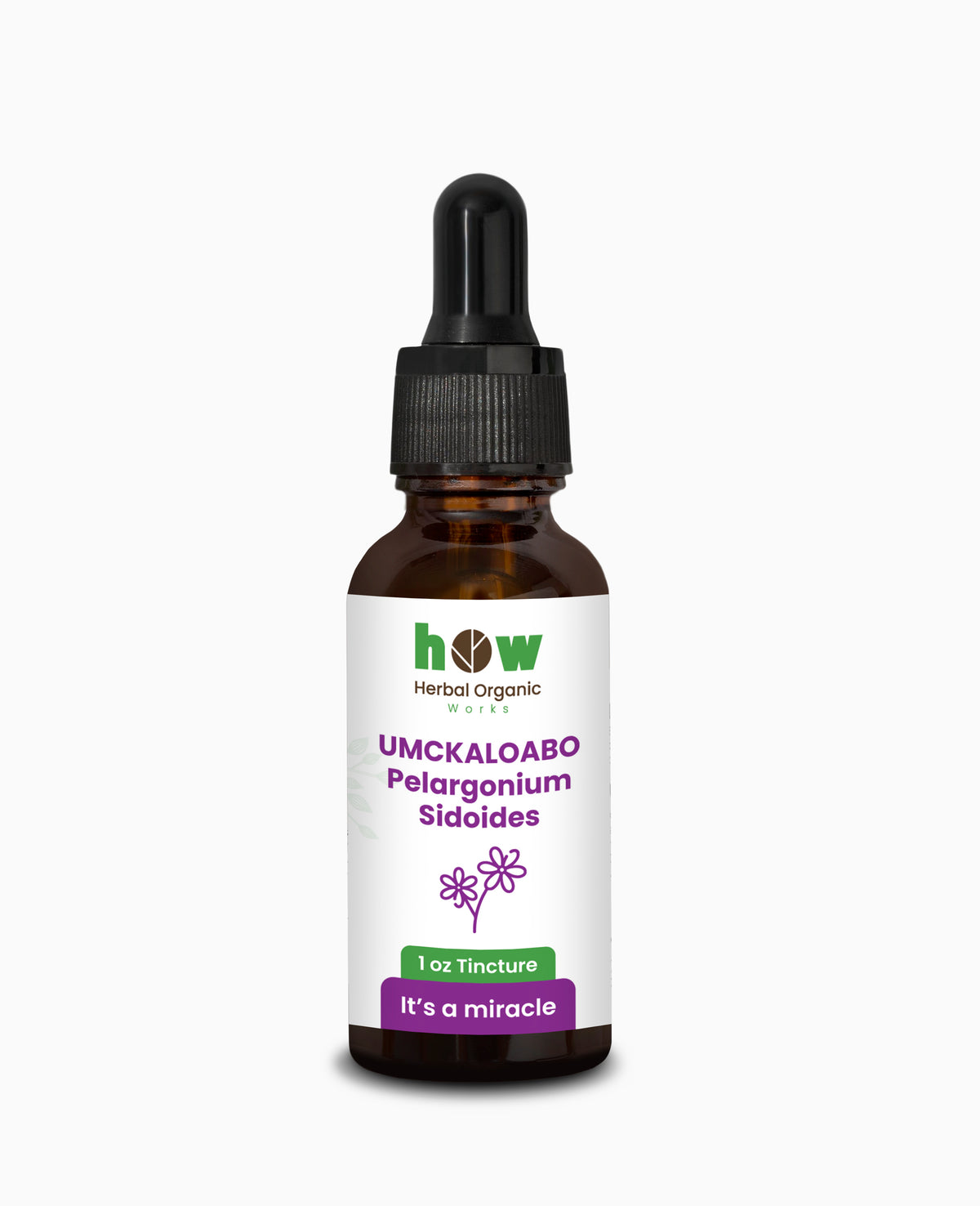 Umckaloabo Extract – Natural Herbal Support for Respiratory Wellness