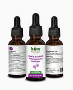 Umckaloabo Extract – Natural Herbal Support for Respiratory Wellness