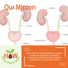 NATURAL REMEDY FOR URETHRA INFLAMMATION  (HOW112)