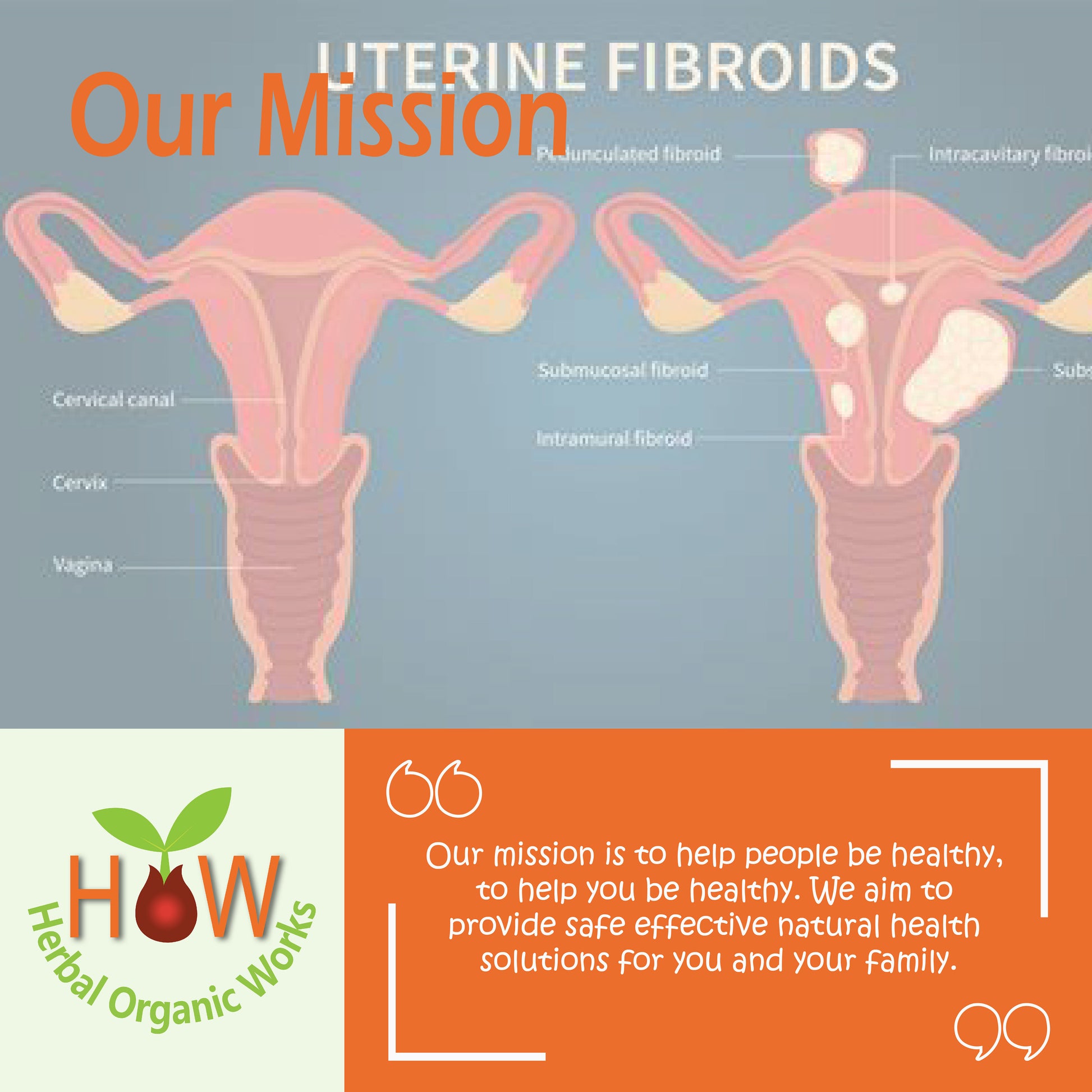 NATURAL REMEDY FOR UTERINE FIBROIDS (HOW60)