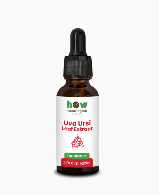 Uva Ursi Leaf Extract – Herbal Support for Urinary Balance
