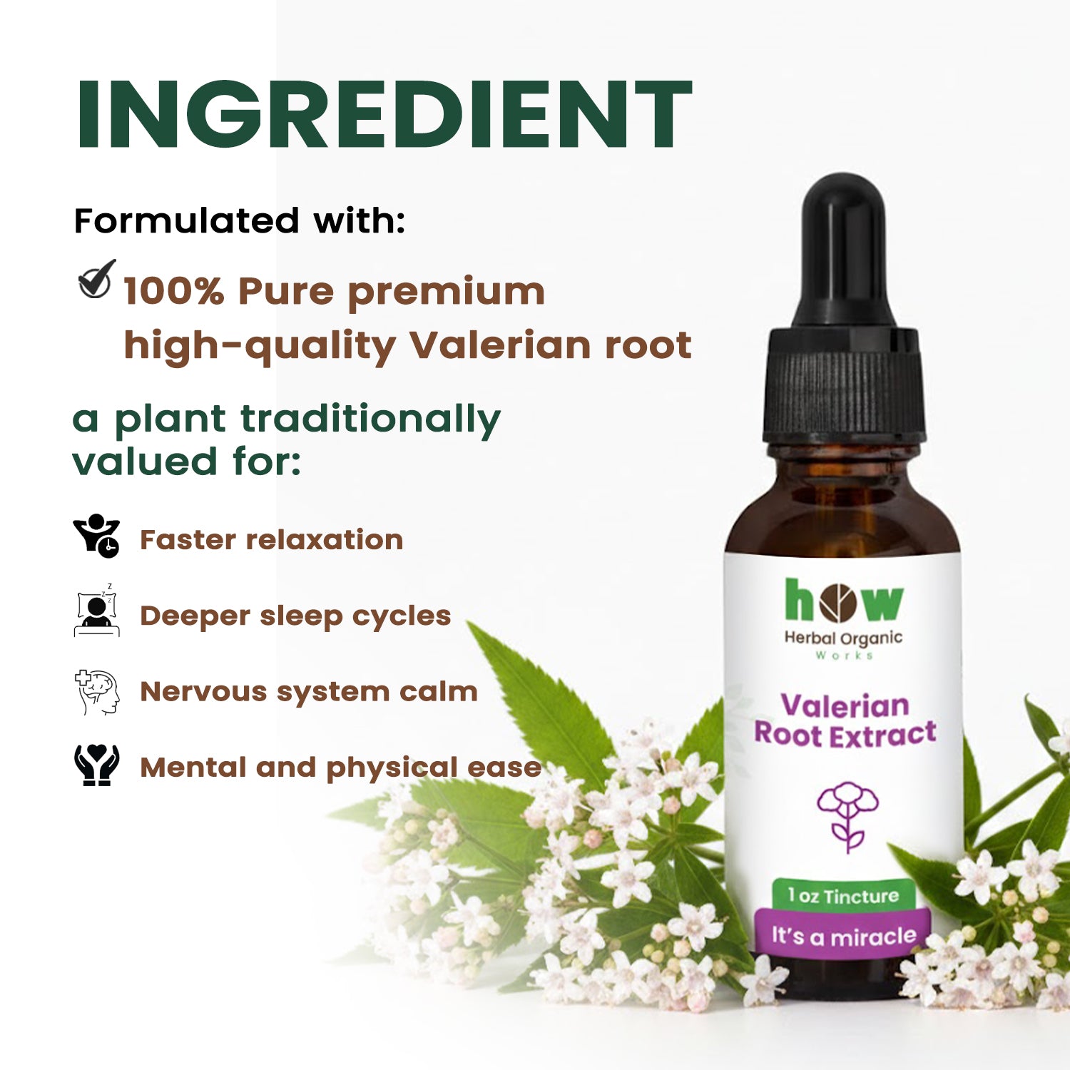Valerian Root Extract ingredients