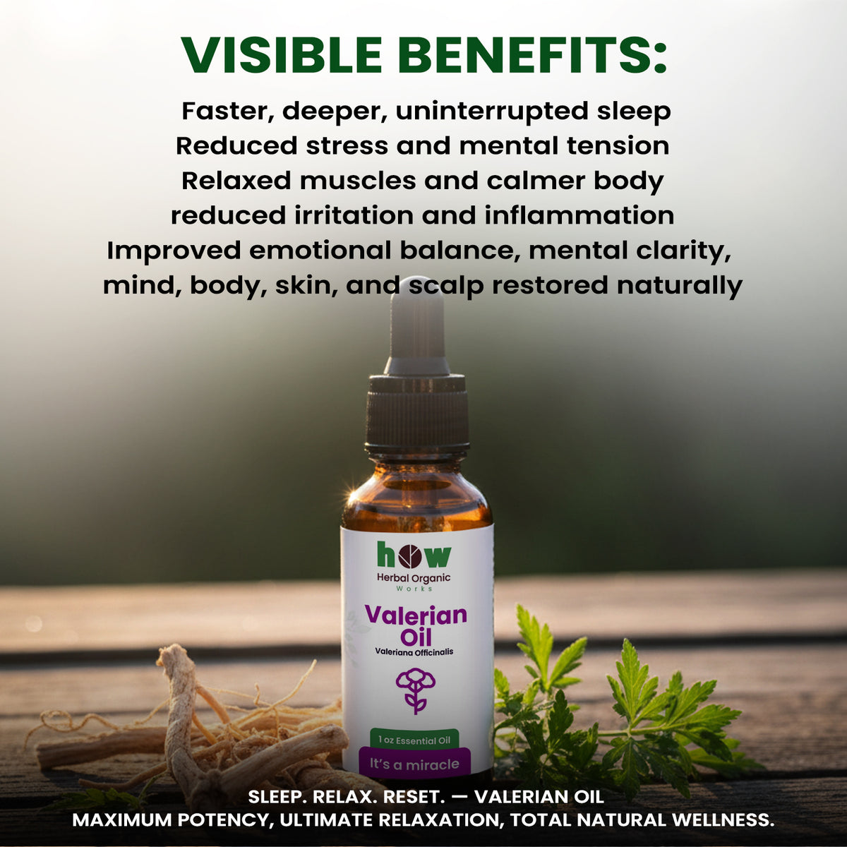 Valerian Root Oil – 100% Pure Botanical Aromatherapy Oil | 1 oz