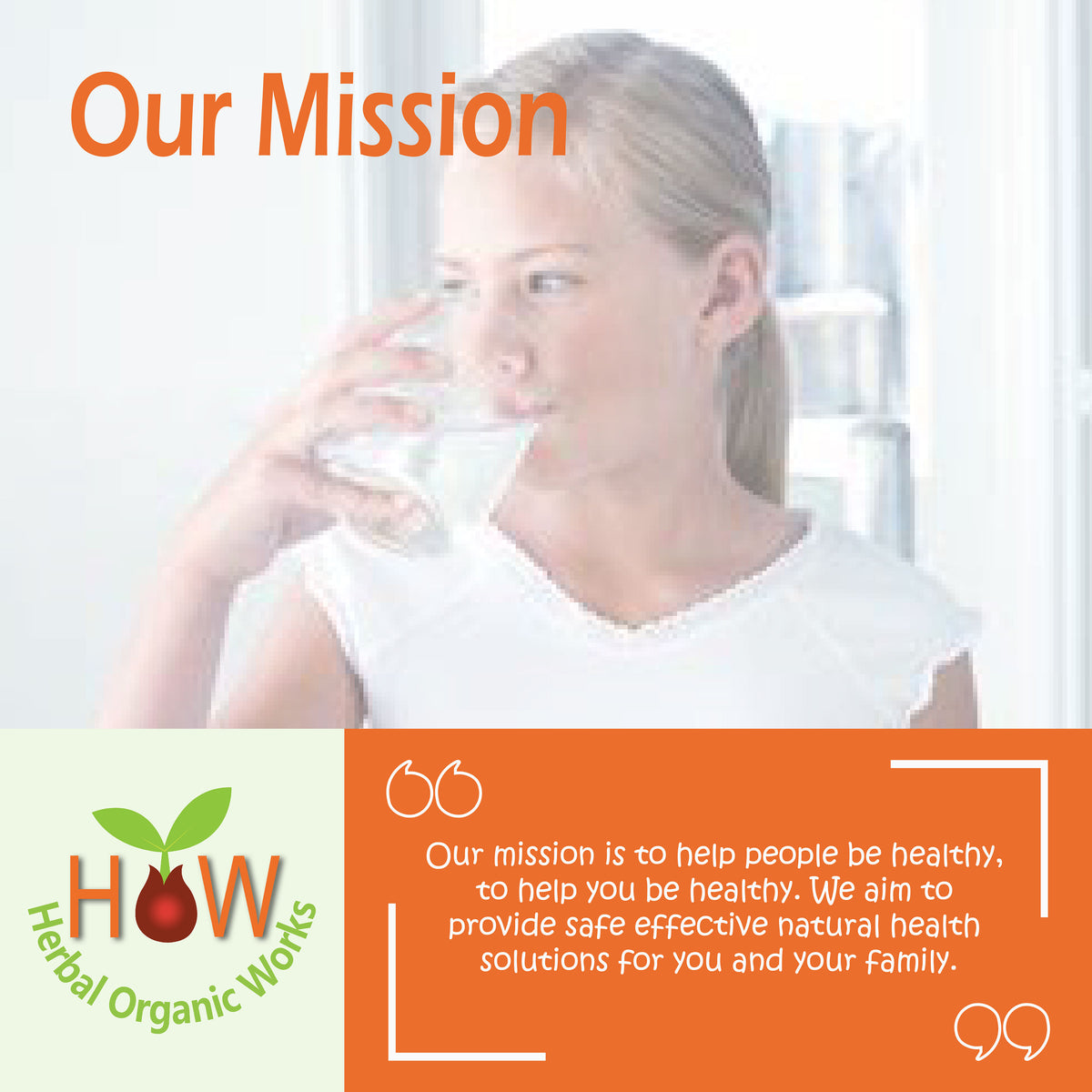WATER ELIMINATOR AND PURIFICATION REMEDY