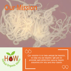 WORMS & PARASITES NATURAL REMEDY (HOW43)