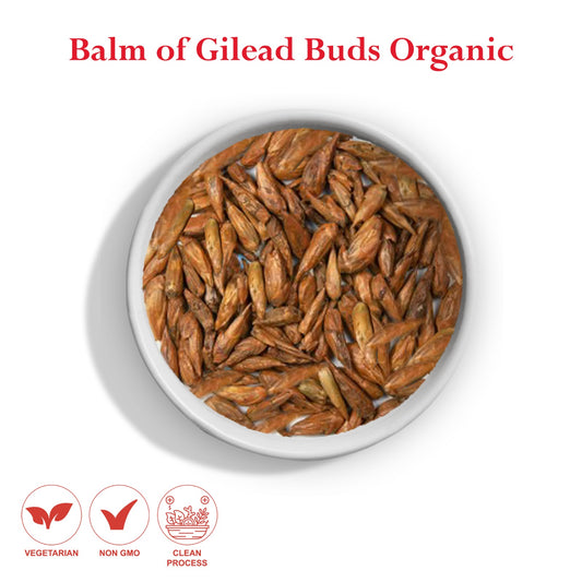 Balm of Gilead Buds Organic