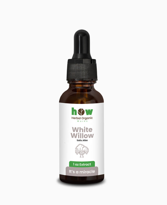 White Willow Extract – Natural Comfort & Inflammation Support