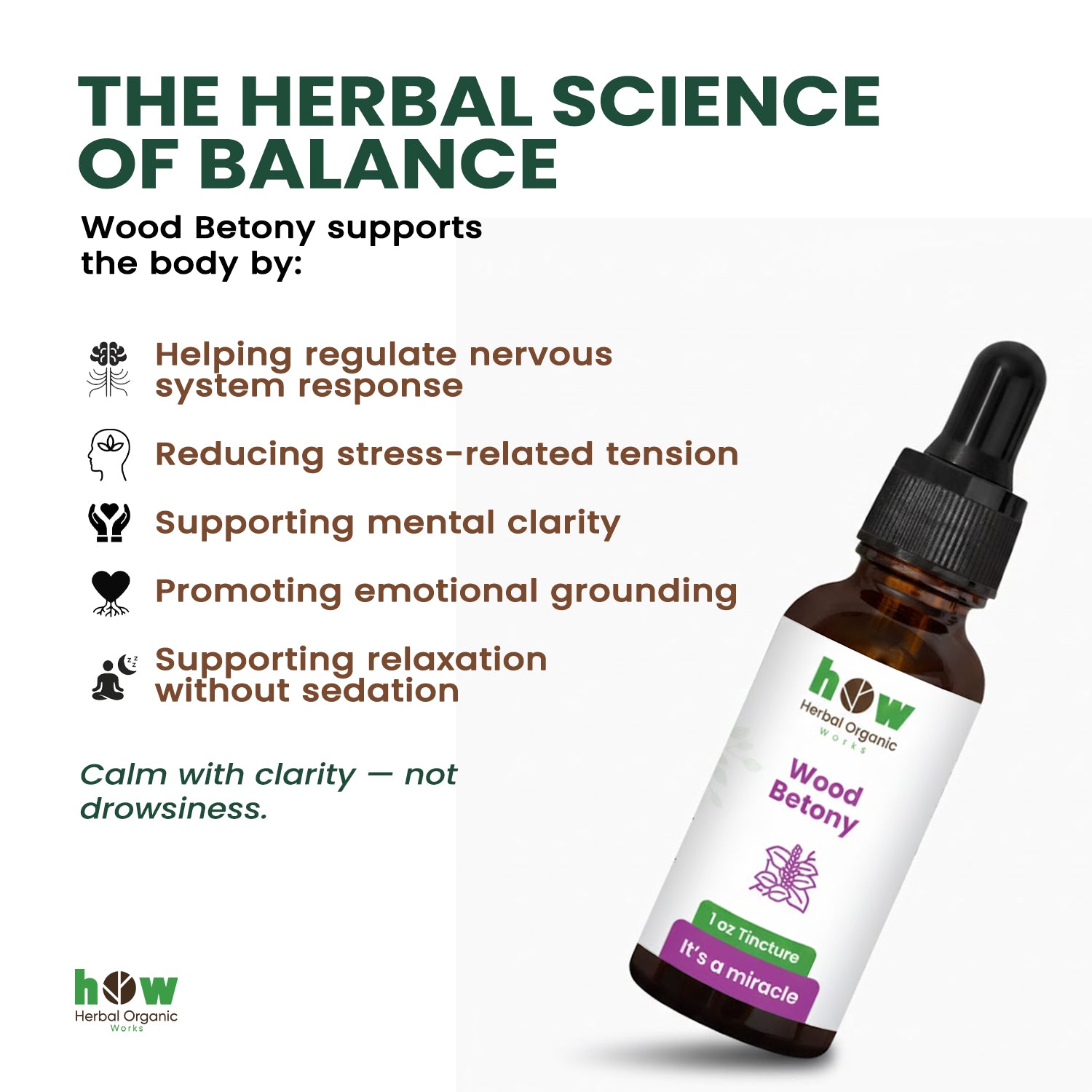 Wood Betony Extract work