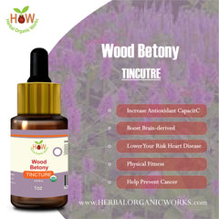 WOOD BETONY