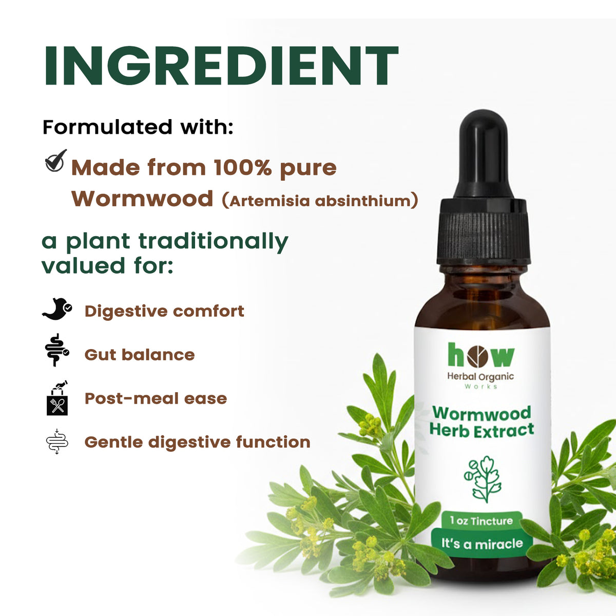 Wormwood Herb Extract ingredients