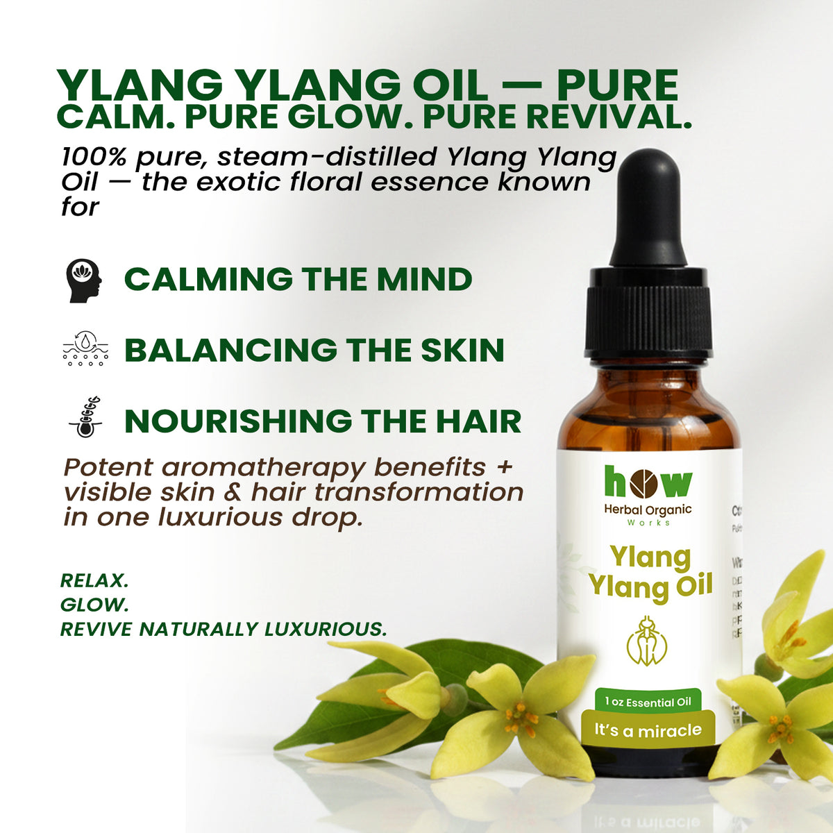 ylang ylang oil