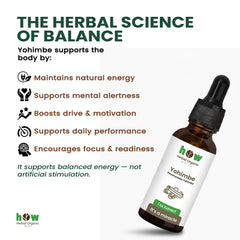 Yohimbe Extract work