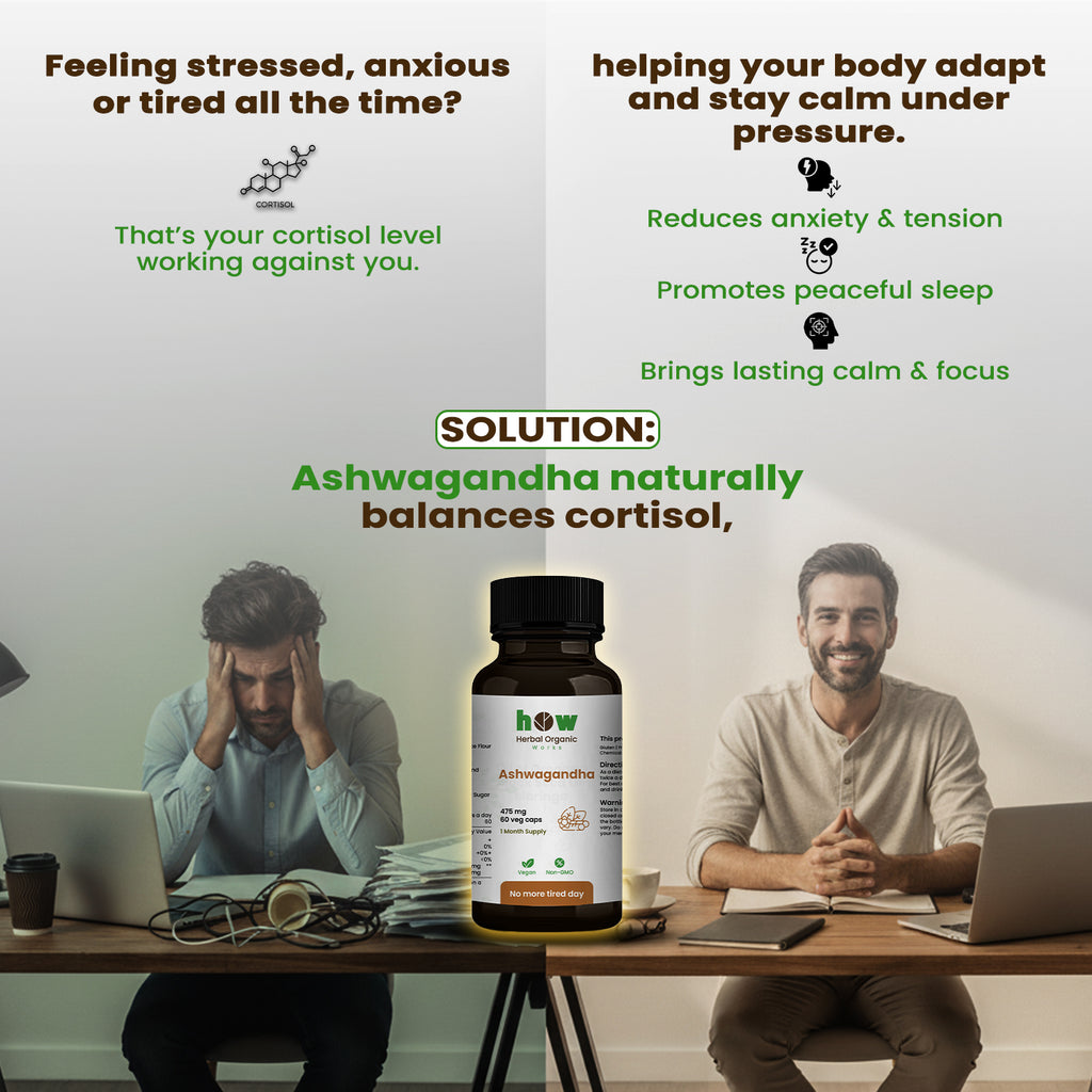 ashwagandha extract capsules
