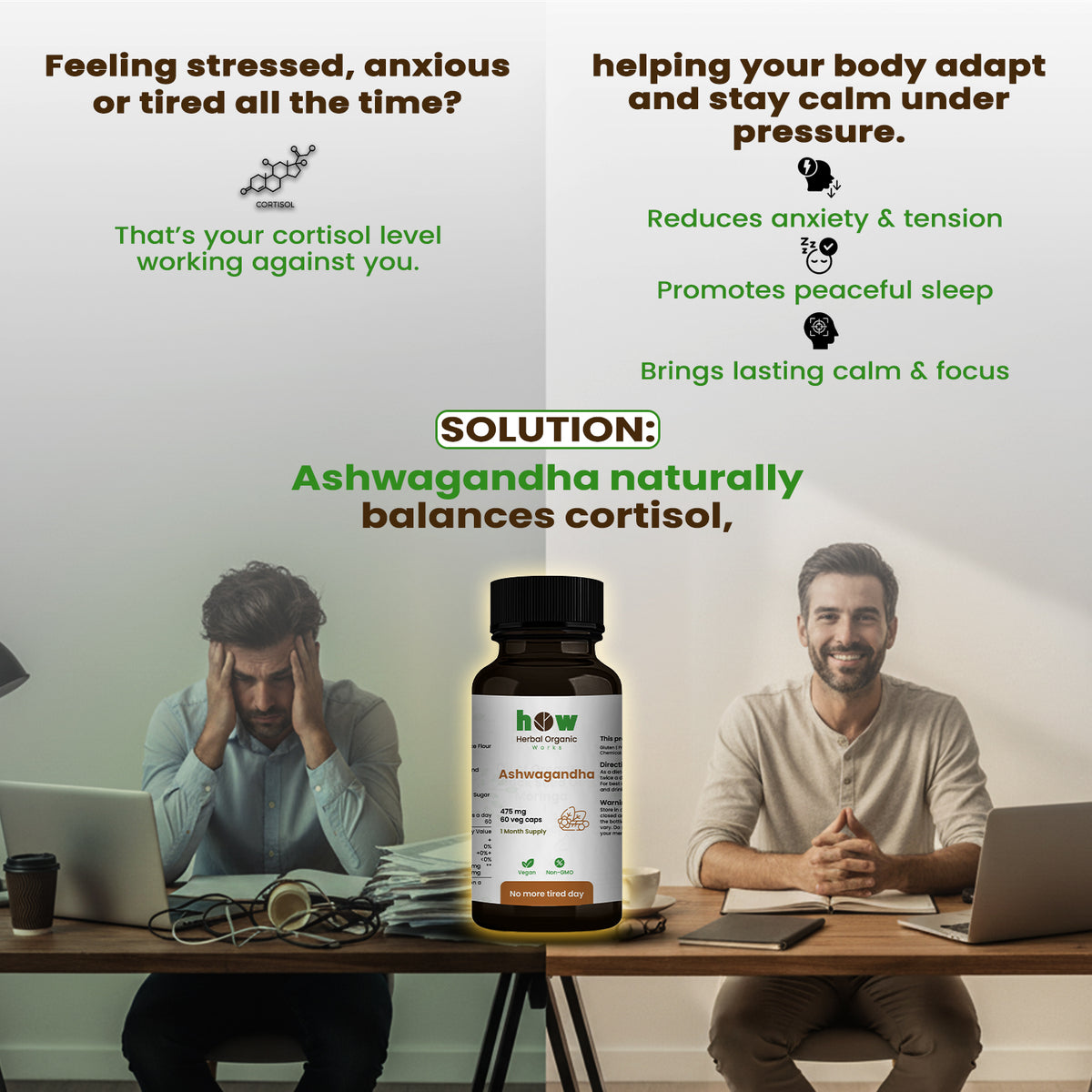 ashwagandha extract capsules
