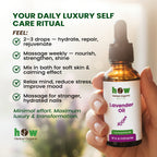best lavender oil 