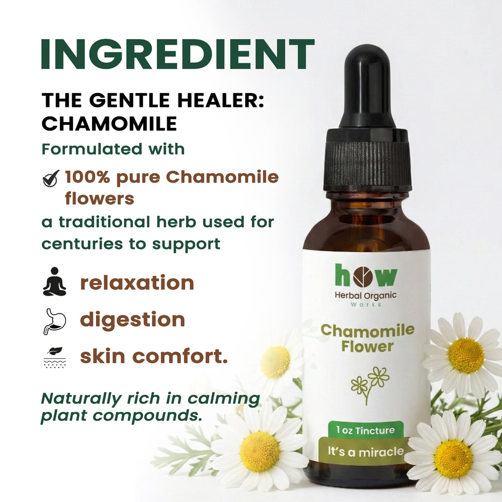 chamomile extract ingredients