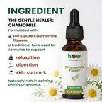 chamomile extract ingredients