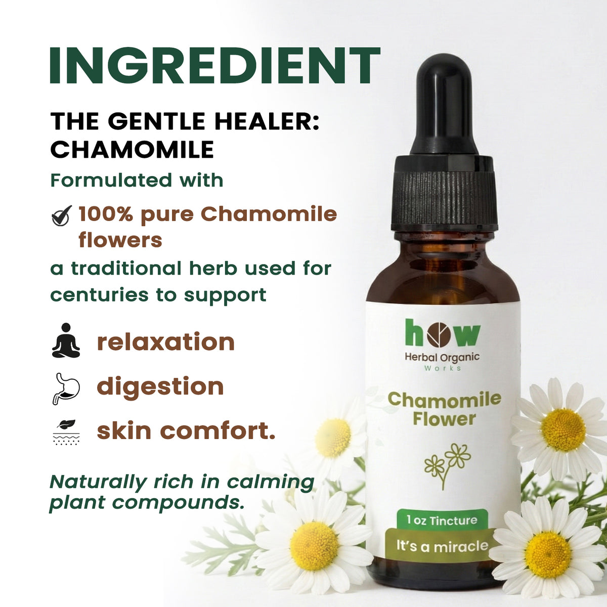chamomile extract ingredients